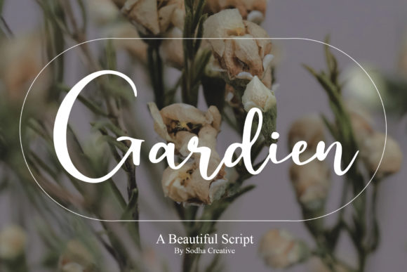 Gardien: A Stylish Typeface for Modern Web Design